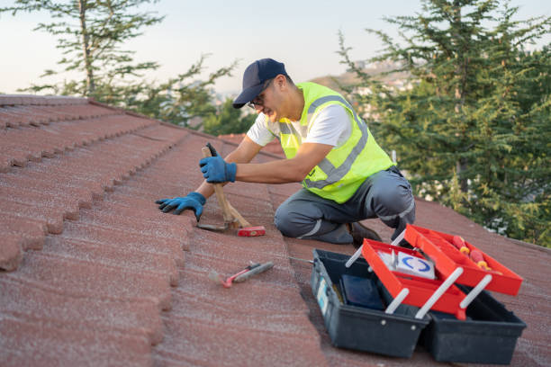 Professional Roofing Contractor in Lake Tapps, WA