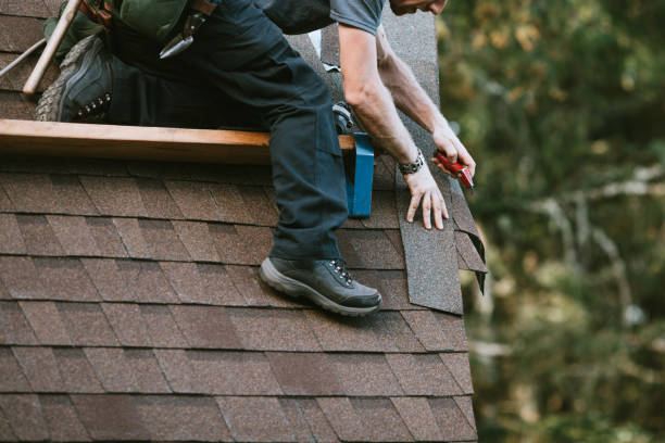 Best Roof Gutter Cleaning  in Lake Tapps, WA